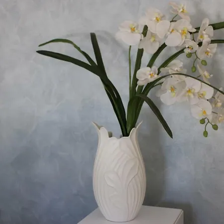 Selene Bed & Breakfast