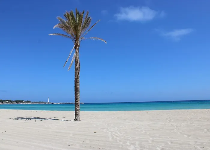 Selene 4* San Vito Lo Capo