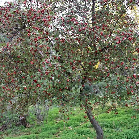 Selene San Vito Lo Capo
